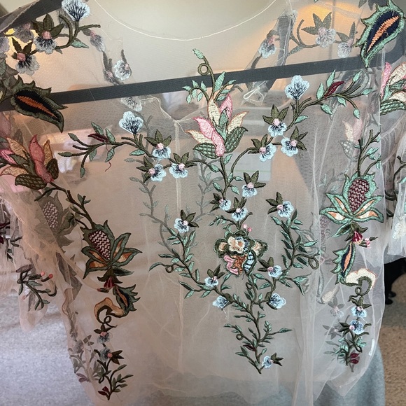 Zara Mesh Floral Embroidered Top - Picture 5 of 10